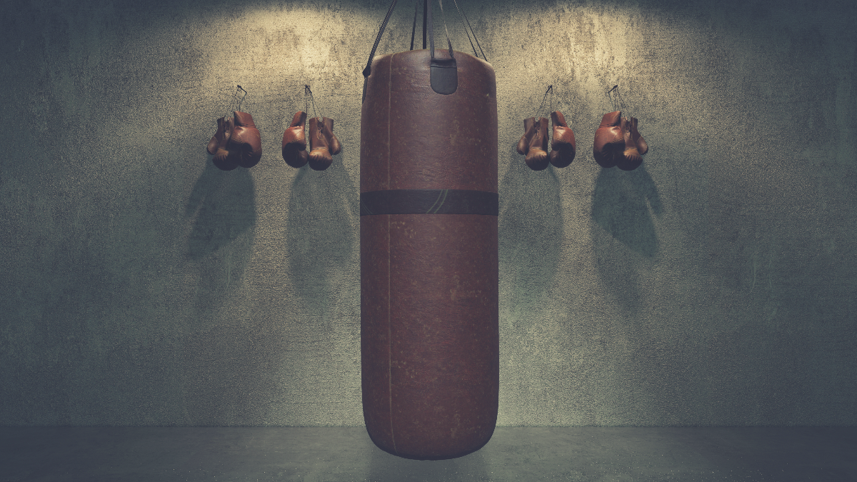 Premium Photo | Different punching bag hanging on ceiling